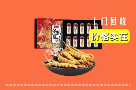 大同天镇县回收冬虫夏草